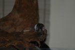 DSC_8170.jpg