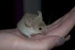 DSC_0003.jpg DSC_0003.jpg