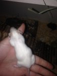 dicke wolke.jpg
