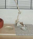 IMAG0342_1.jpg