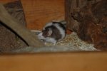 DSC_0005.jpg