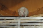 DSC_6830 Kopie v.jpg