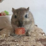 IMG_1394 - Kopie.JPG