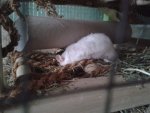 20150501_090145.jpg