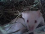 20150503_111625.jpg