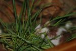 DSC_0467.jpg