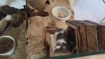 20150518_193953.jpg