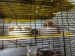 DSC01296.jpg