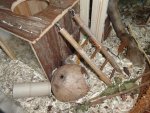 DSC01277.jpg