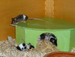 Bild 3 (Copy).jpg