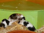 Bild 2 (Copy).jpg