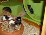 Bild 5 (Copy).jpg