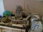 2015-06-02 20.02.25.jpg