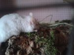 20150606_200342.jpg
