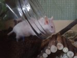 20150606_194356.jpg