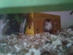 20150606_195957.jpg