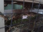 20150606_204747.jpg