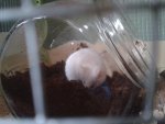 20150606_200725.jpg