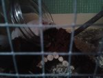 20150606_210251.jpg