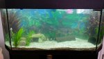 20150614_101808_resized.jpg