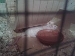 20150702_220258.jpg