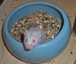 Minnie.jpg