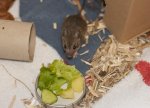 IMG_6372s.jpg