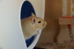 DSC02280klein.jpg