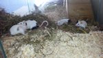 20150821_162834.jpg