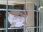 20150829_104943.jpg