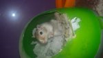 20150815_162321.jpg