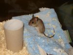 DSC05416.jpg