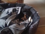 20151006_114417.jpg