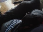 20151021_104254.jpg