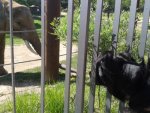 20150515_110601.jpg