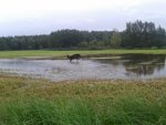 20150915_121601.jpg