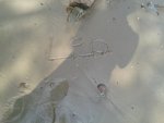20150711_155252.jpg