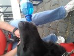 20150617_180950.jpg