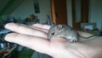 DSC_0036.jpg