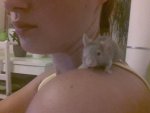 20150702_233845.jpg