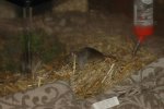 DSC_1229.jpg