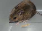 DSC_0477.JPG
