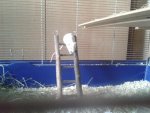 20151220_111718.jpg