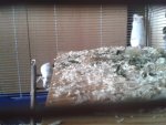20151220_111703.jpg