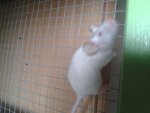 IMG-20151224-WA0000.jpg