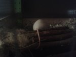 20151228_214706.jpg