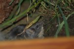 DSC_0468.jpg