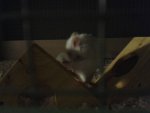20160101_205735.jpg