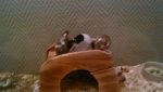IMG-20151229-WA0016.jpg