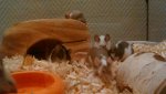 IMG-20160102-WA0003.jpg